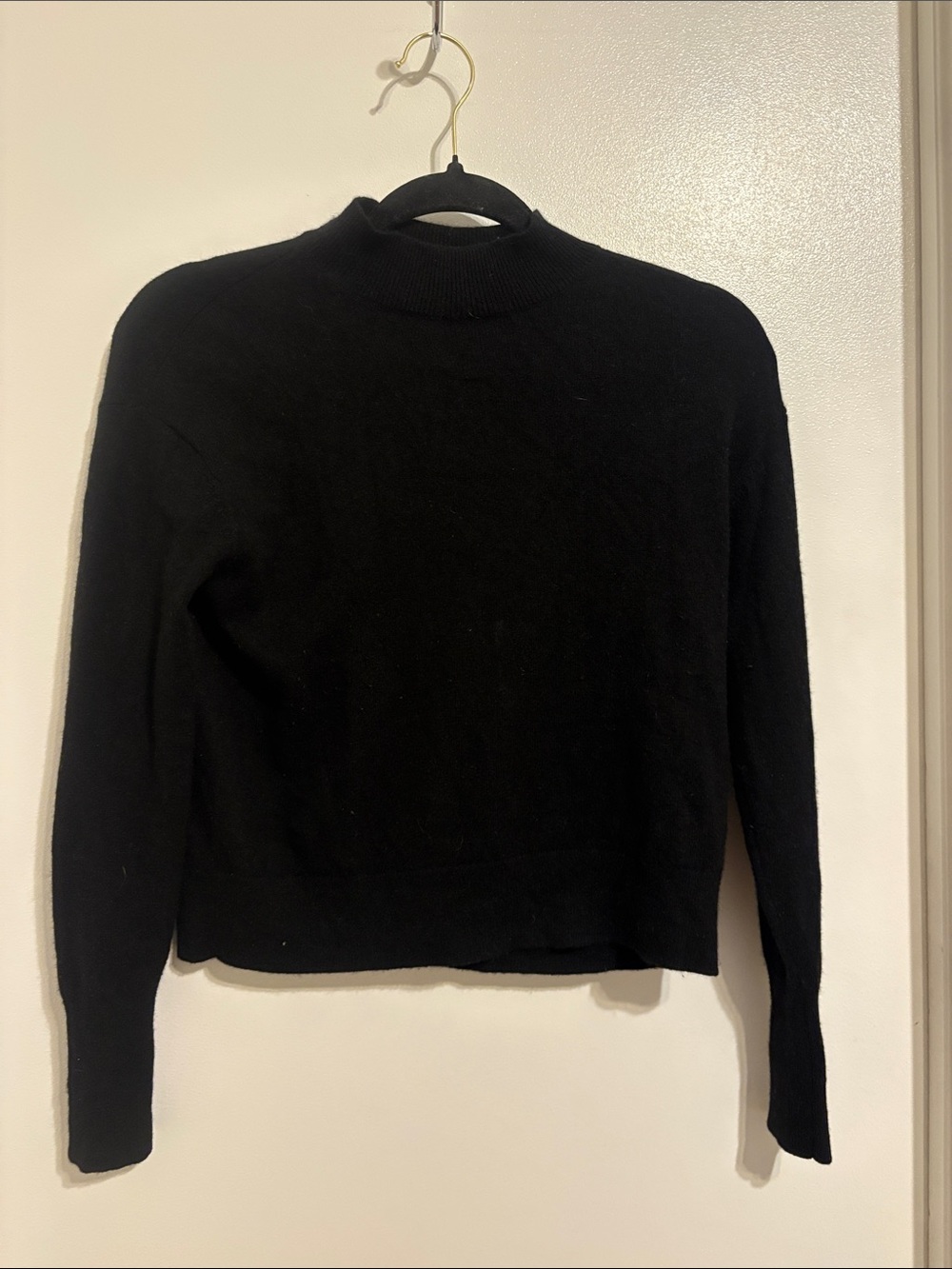 Everlane Cashmere Black Mock Neck Sweater